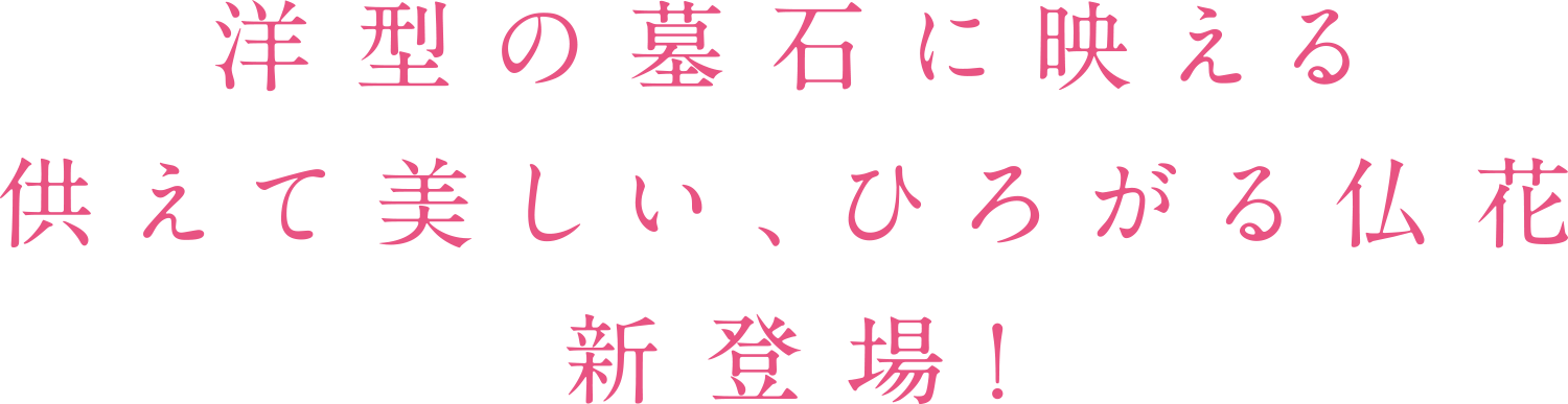 洋型の墓石に映える供えて美しい、ひろがる仏花